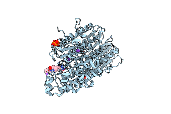 7SGI image