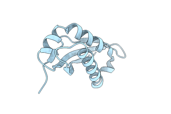 7SGP image