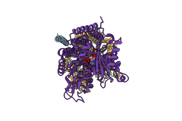 7SGS image