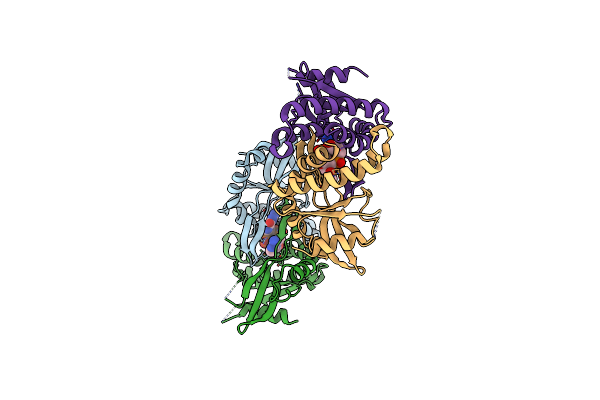 7SHP image
