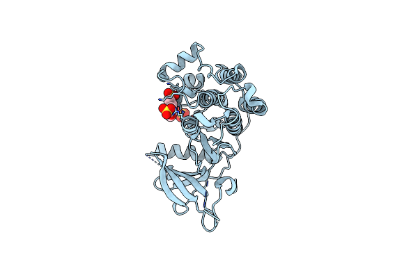 7SI1 image