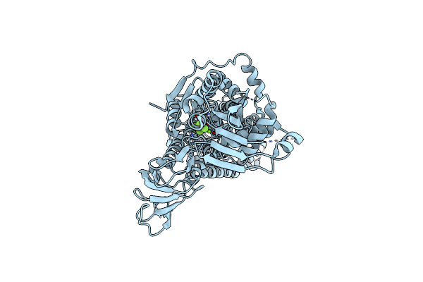 7SI7 image