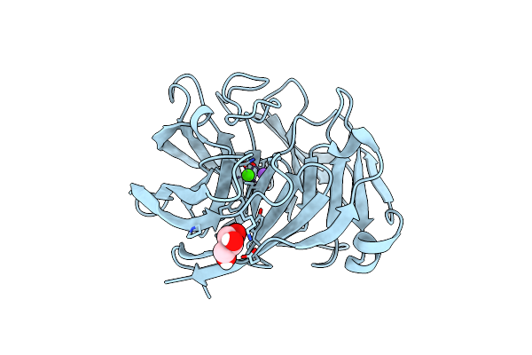 7SIB image