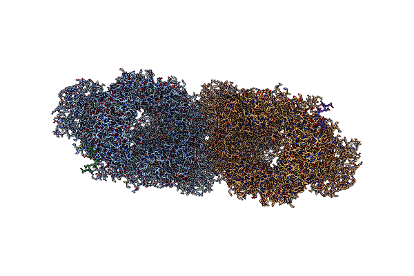 7SID image