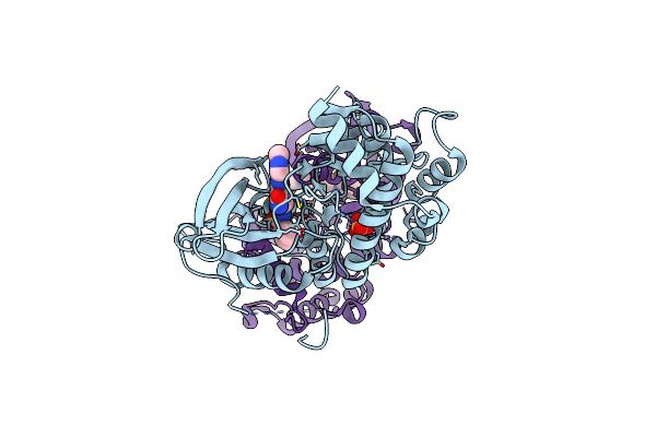 7SIU image