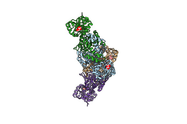 7SKB image
