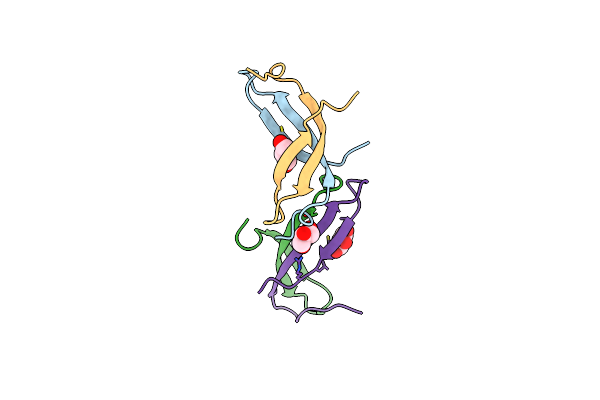 7SLT image