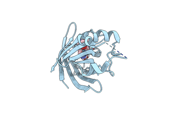 7SLZ image