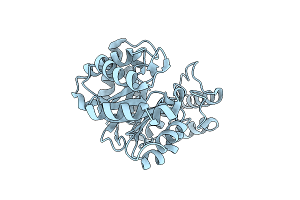 7SMI image
