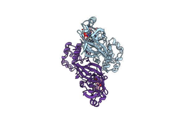 7SMV image
