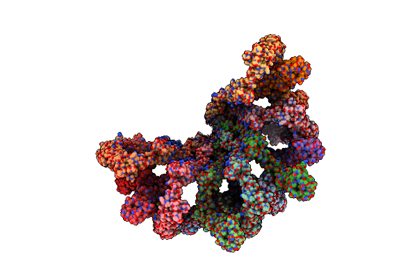 7SN7 image
