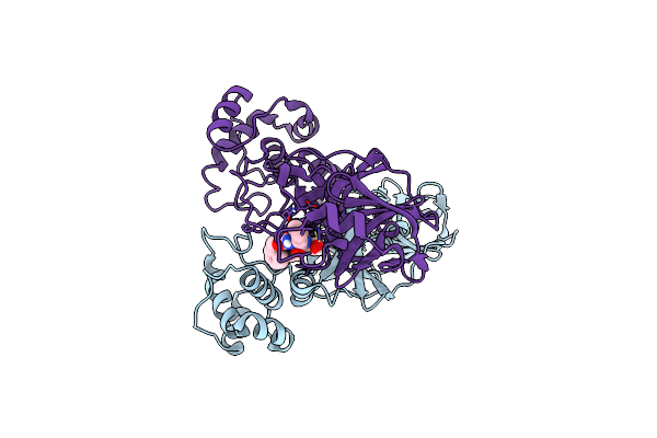 7SNA image