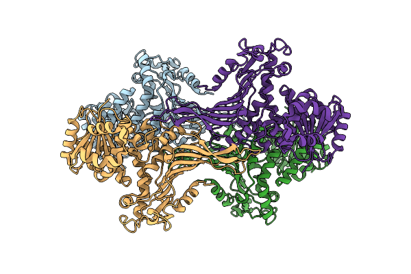 7SNG image