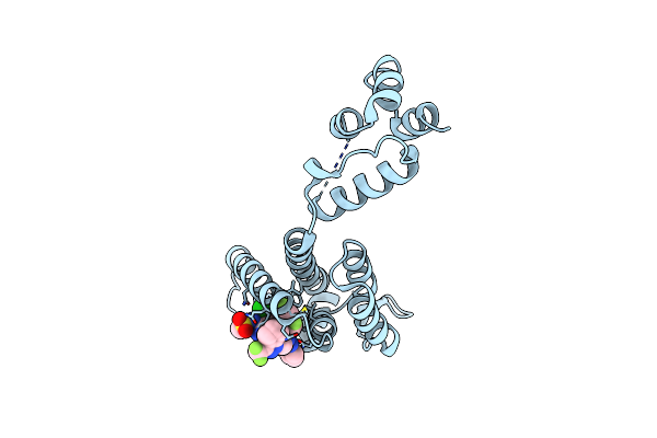 7SNN image