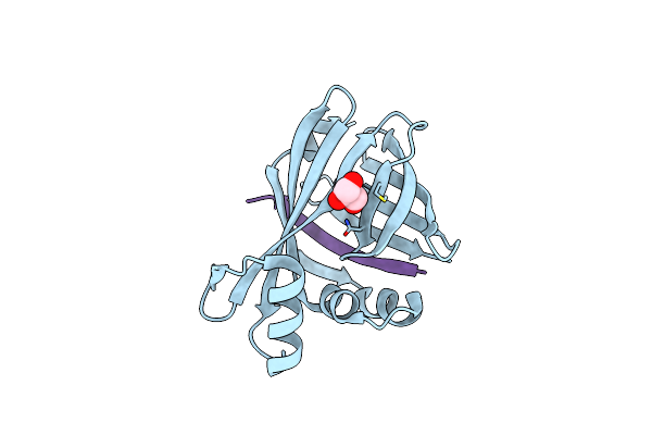 7SNX image