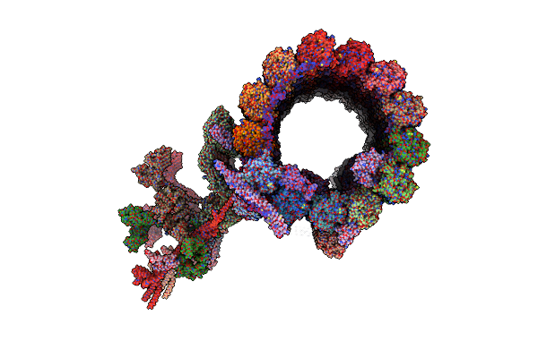7SOM image