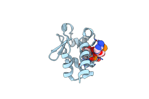 7SOP image