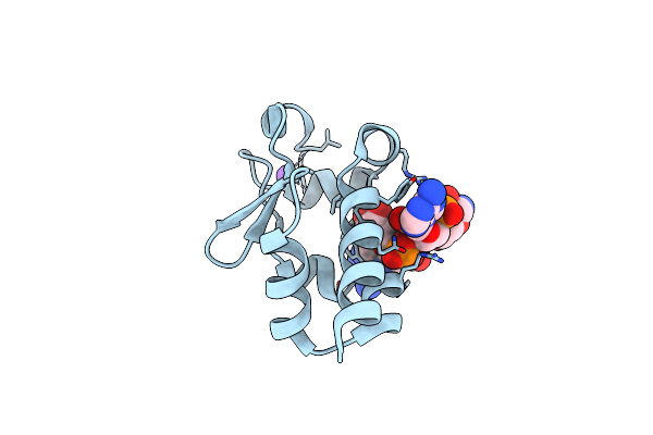 7SOS image