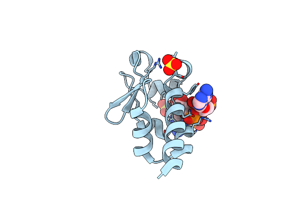 7SOT image