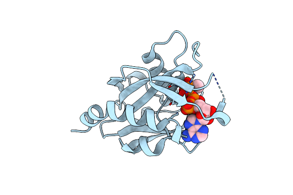 7SP3 image