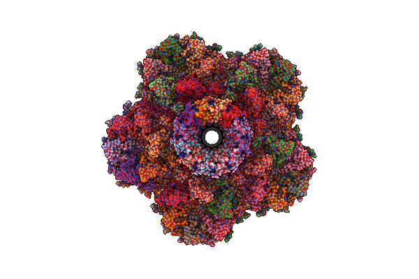 7SP4 image