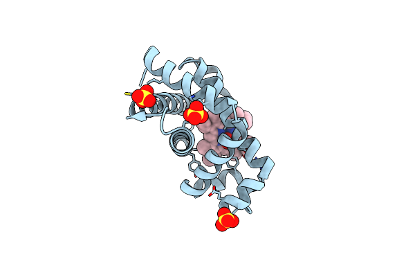 7SPH image