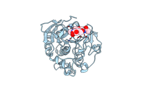 7SPR image