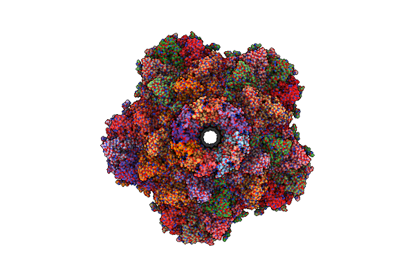 7SPU image