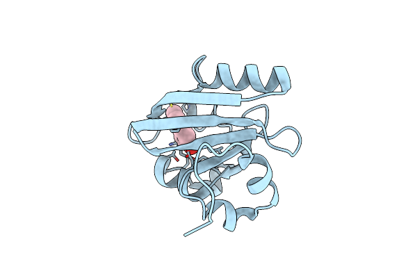 7SPW image