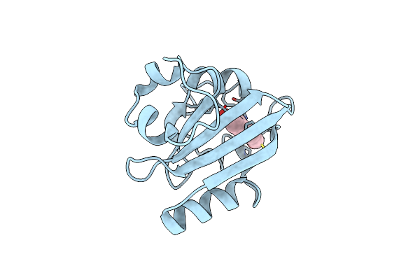 7SPX image