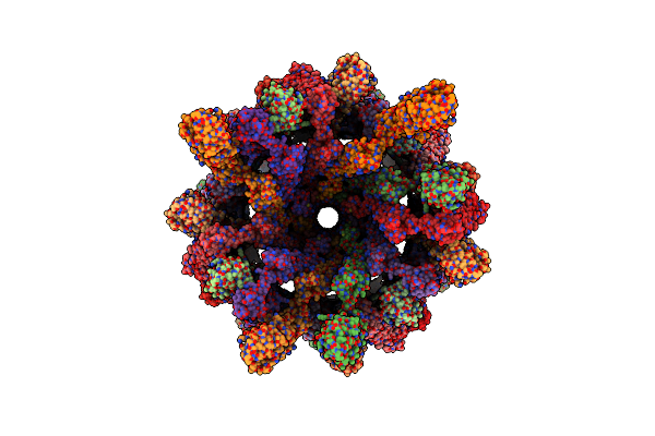 7SQD image