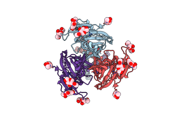 7SQG image