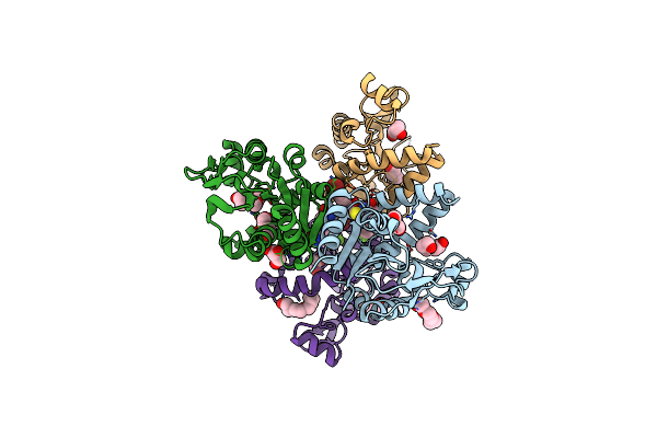 7SQL image