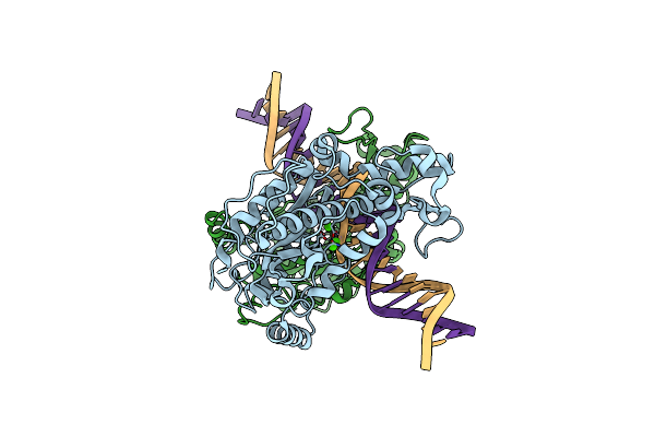 7SS5 image