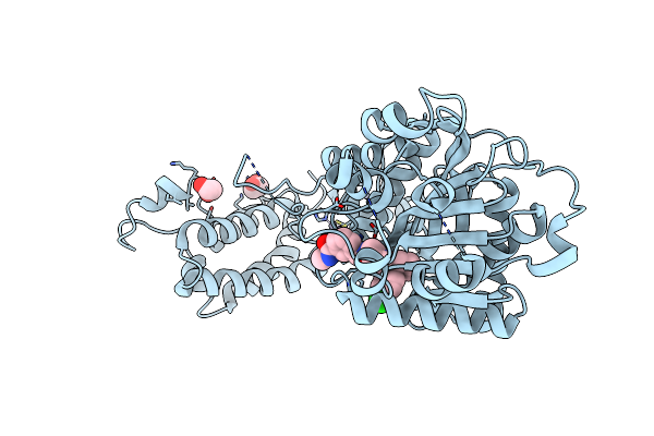 7SS8 image