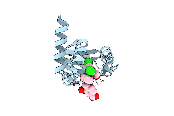 7SSB image