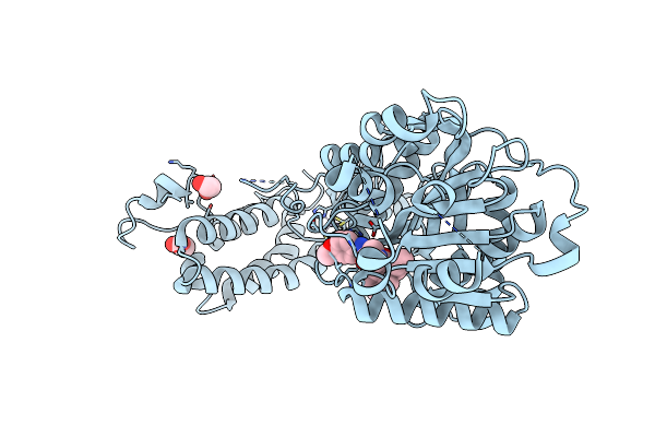 7SSK image