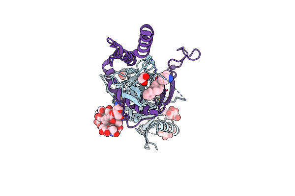 7SSQ image