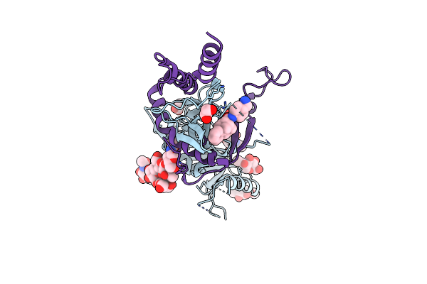 7SSR image