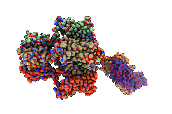 7SSV image