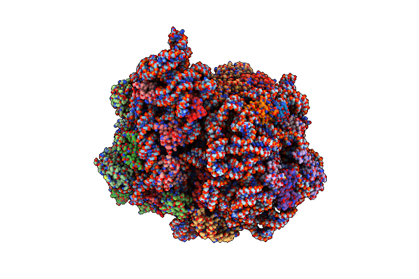 7SSW image