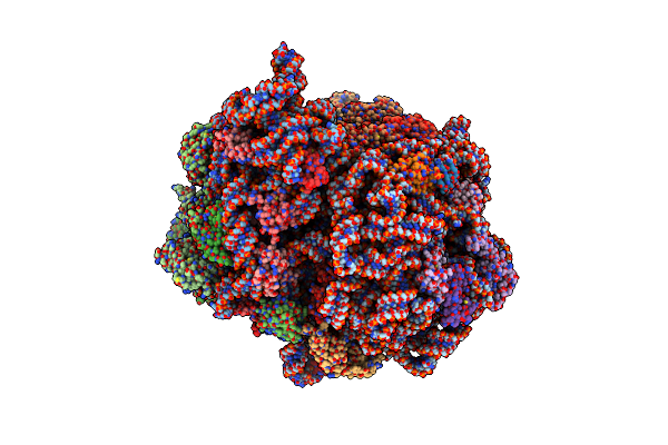 7ST2 image