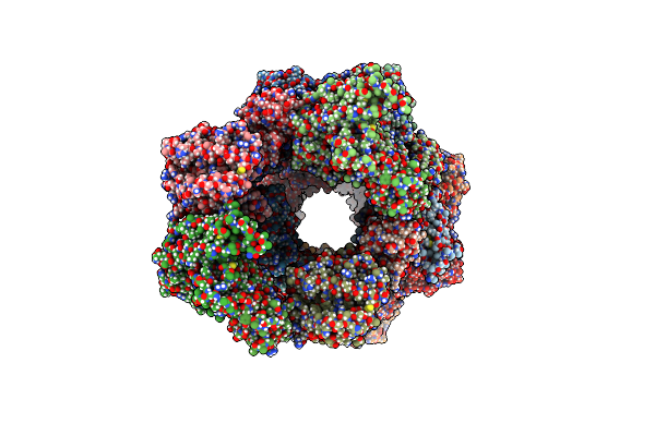 7STG image