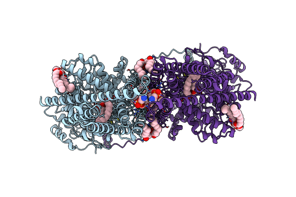 7STL image