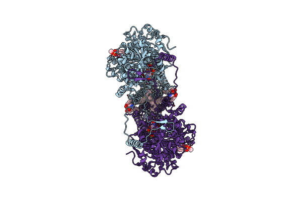 7STM image
