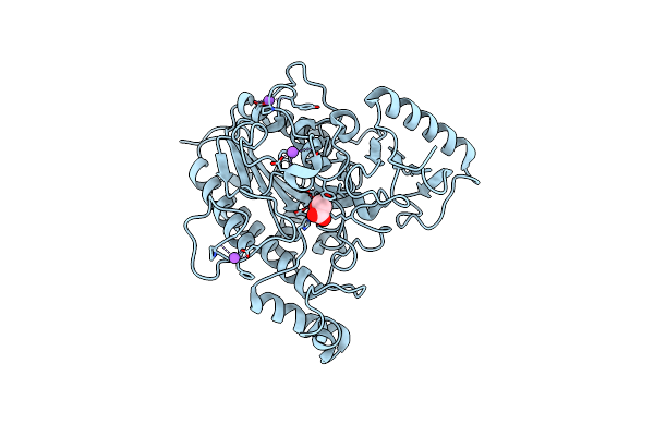 7STT image