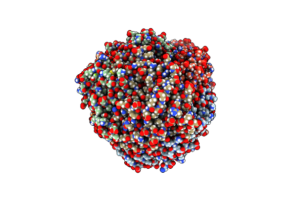 7SUC image