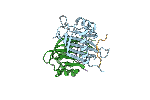 7SUO image
