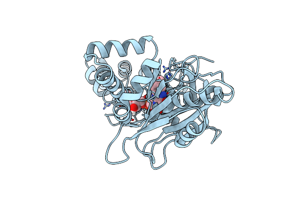 7SUZ image