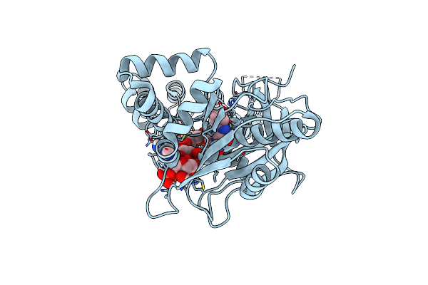 7SV0 image